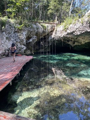 Two Eyes Cenote by null