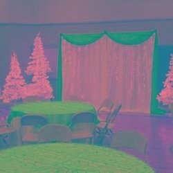 Budget Wedding & Party Rental - Untitled