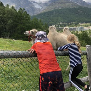 Waldhüs Bodmen - Swiss Food Near Me - Saas-Fee, VS