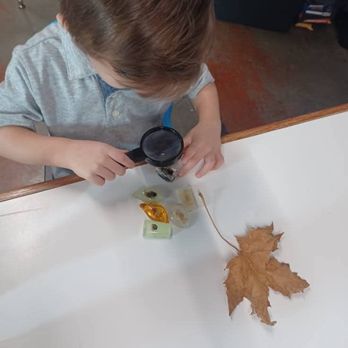 1st Steps Daycare - Child Care & Day Care Near Me - Nampa, Idaho 1st Steps Daycare - Child Care & Day Care Near Me - Nampa, Idaho