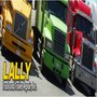 Photo of Lally Tire & Towing Service