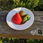 Photo of Urasawa - Beverly Hills, CA, United States. Dessert