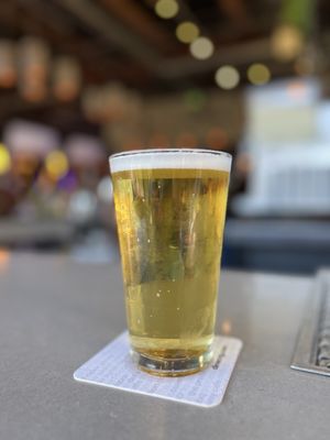 Draft Republic San Marcos by null