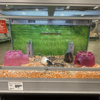 PetSmart - Pet Training Near Me - Fountain Valley, California PetSmart - Pet Training Near Me - Fountain Valley, California