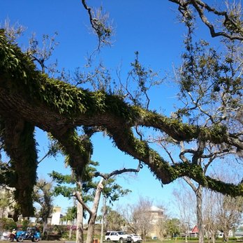 Oaks By The Bay - Playgrounds Near Me - Panama City, Florida Oaks By The Bay - Playgrounds Near Me - Panama City, Florida
