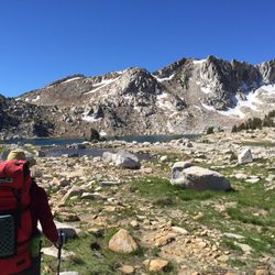 French Connection for Plumbing