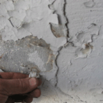 Envirotest Mold Asbestos Inspection - Lead Paint - Environmental Testing Near Me Envirotest Mold Asbestos Inspection - Lead Paint - Environmental Testing Near Me