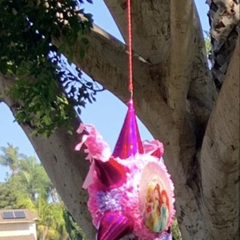 MexCandy - a pinata hanging from a tree - Candy Stores Near Me - Vista, California MexCandy - a pinata hanging from a tree - Candy Stores Near Me - Vista, California
