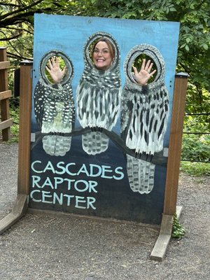 Cascades Raptor Center by null