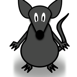 JDC Pest Control
