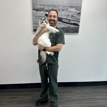 AdorableDolls Ragdolls - Super relaxed even at the vet - Pet Breeders Near Me AdorableDolls Ragdolls - Super relaxed even at the vet - Pet Breeders Near Me