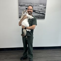 AdorableDolls Ragdolls - Super relaxed even at the vet