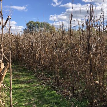 Gentry's Farm - Farms Near Me - Franklin, Tennessee