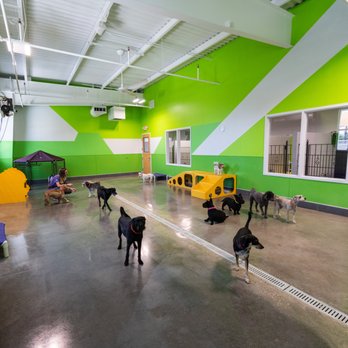 PetSuites Bradenton - Pet Boarding Near Me - Bradenton, Florida