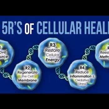Wardy Wellness Chiropractic - The 5 R's of Cellular Healing - Chiropractors Near Me - El Paso, Texas