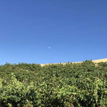 Taber Ranch Vineyard & Event Center - Venues & Event Spaces Near Me - Capay, California Taber Ranch Vineyard & Event Center - Venues & Event Spaces Near Me - Capay, California