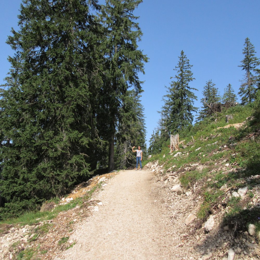 Predigstuhlbahn - Walking trails - Cable Cars Near Me - Bad Reichenhall, BY