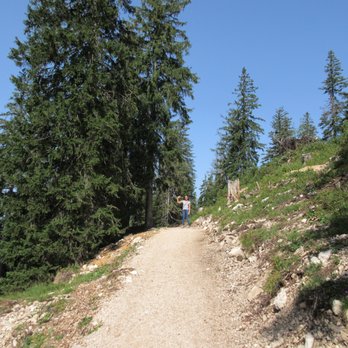 Predigstuhlbahn - Walking trails - Cable Cars Near Me - Bad Reichenhall, BY