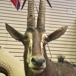 Pace Antiques and Auction