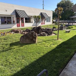 Exterior photo of Tangle Free - Carmichael, California Exterior photo of Tangle Free - Carmichael, California