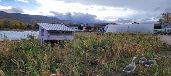 Reno Food Systems by null