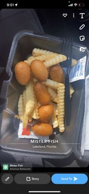Mister Fish by null