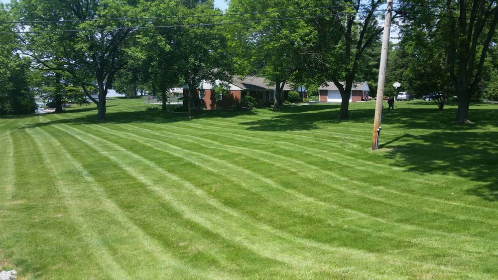 Lawn Perks - tree service in Springfield, IL