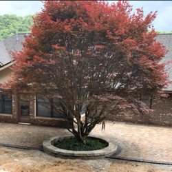 Darling Hardscapes and Design - Patio and tree ring