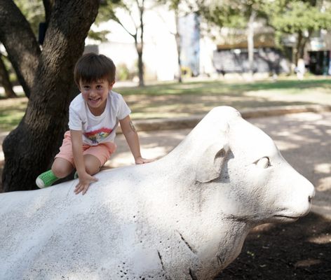 The Arboretum by null