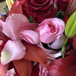 Falling apart roses , after a minute it was delivered