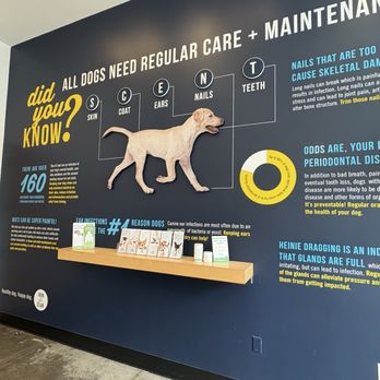 Scenthound - Pet Groomers Near Me - Boynton Beach, Florida
