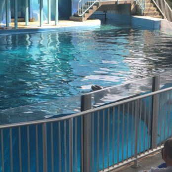 Six Flags Discovery Kingdom - Amusement Parks Near Me - Vallejo, California