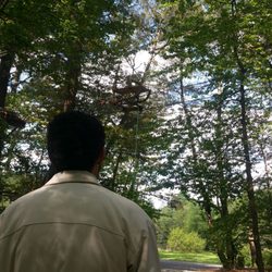 Forêt Adrénaline