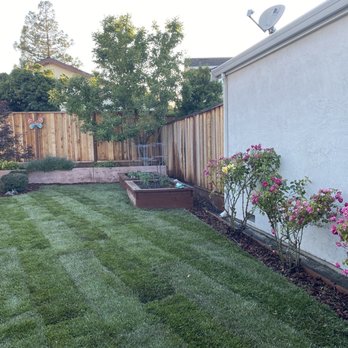 Garden Bros Landscape Services - Fresh lawn and new edging behind the roses on our backyard. - Landscaping Near Me