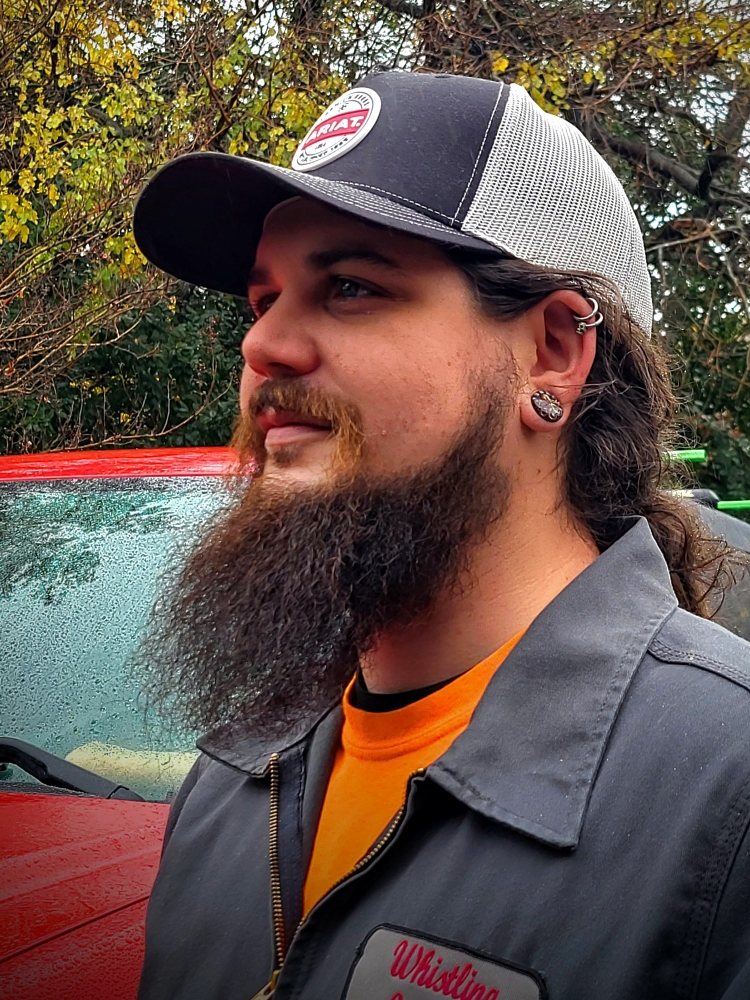 Slide of Whistling Ladders