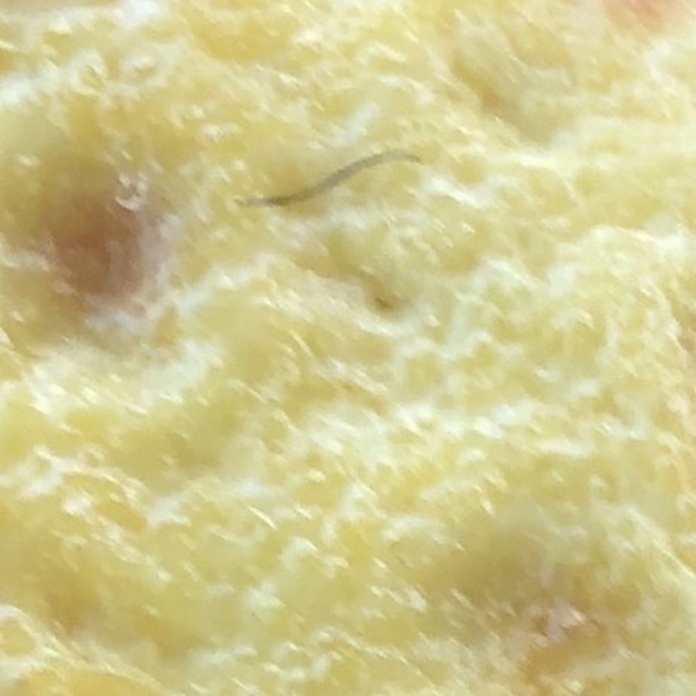 Burger King - Eyelash or hair on breakfast sandwich . I did not eat mine, the lady had an attitude, so I figured Burger King made their $5 - Burgers Near Me - Memphis, Tennessee