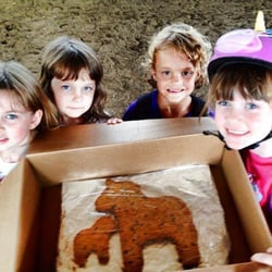 Battlefield Park Polo Club & Equestrian Center - horse cookies:)