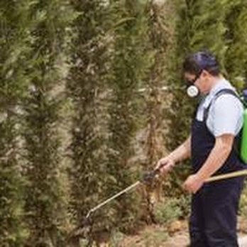 Arrow Applicators Pest Control People - untitled - Pest Control Near Me - Ada, Oklahoma Arrow Applicators Pest Control People - untitled - Pest Control Near Me - Ada, Oklahoma