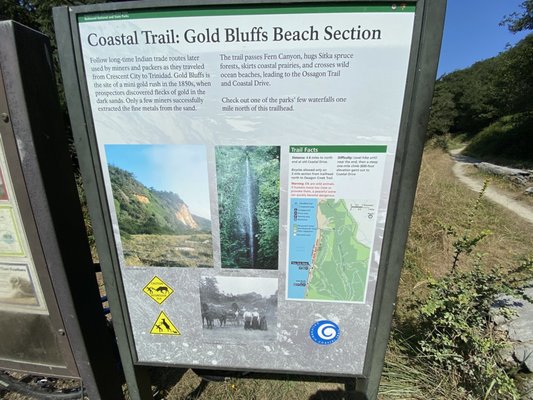 Gold Bluffs Beach Campground by null