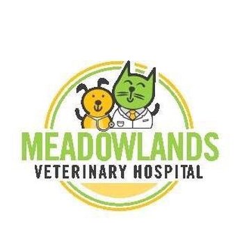 Meadowlands Veterinary Hospital - Veterinarians Near Me - Hackensack, New Jersey