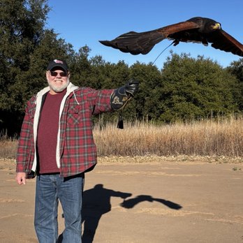Sky Falconry - Specialty Schools Near Me - Alpine, California Sky Falconry - Specialty Schools Near Me - Alpine, California