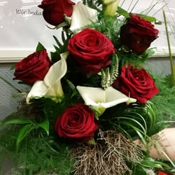 Blumen Grün Punkt