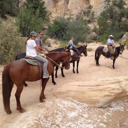Mecham Outfitters