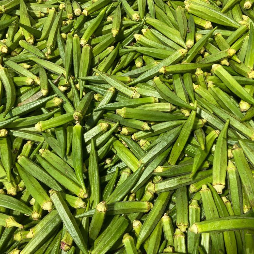 Apna Bazaar Cash & Carry - Okra - International Grocery Near Me - Jackson Heights, New York Apna Bazaar Cash & Carry - Okra - International Grocery Near Me - Jackson Heights, New York