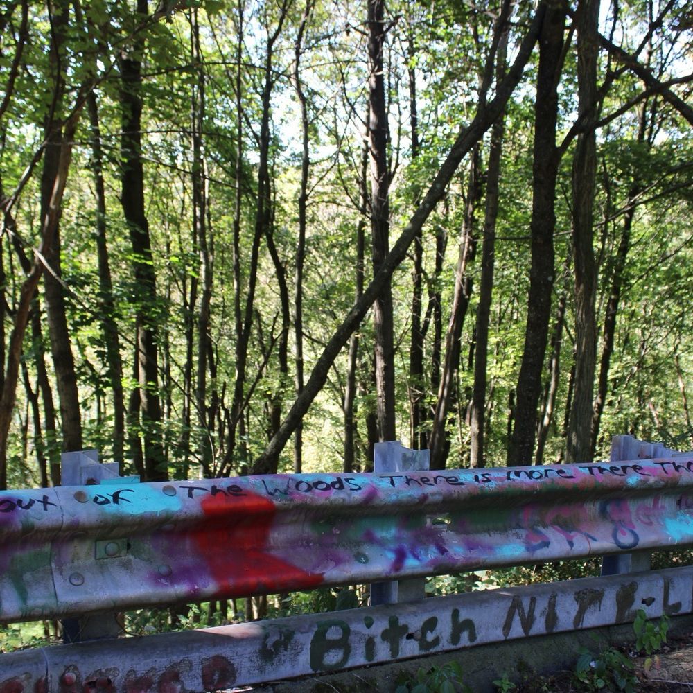 Centralia - "Stay out of the woods, there is more there than you think" - Local Flavor Near Me Centralia - "Stay out of the woods, there is more there than you think" - Local Flavor Near Me