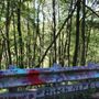 Photo of Centralia
