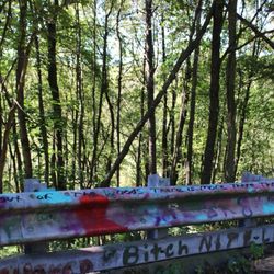 Centralia - "Stay out of the woods, there is more there than you think"