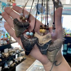 Shark Frenzy - Handmade shark tooth necklaces