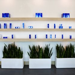 Hartwater Aesthetics - ZO Skincare Wall