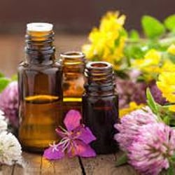 Earth Sweet Boutique - Essential Oils for skin care products, for your environment and to boost your immune system.